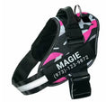 Load image into Gallery viewer, Personalized No-Pull Dog Harness with Name Patch
