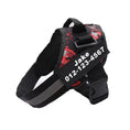 Load image into Gallery viewer, Personalized No-Pull Dog Harness with Name Patch
