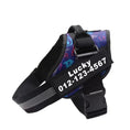 Load image into Gallery viewer, Personalized No-Pull Dog Harness with Name Patch
