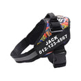Load image into Gallery viewer, Personalized No-Pull Dog Harness with Name Patch
