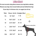 Load image into Gallery viewer, Personalized No-Pull Dog Harness with Name Patch
