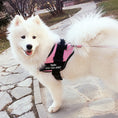 Load image into Gallery viewer, Personalized No-Pull Dog Harness with Name Patch

