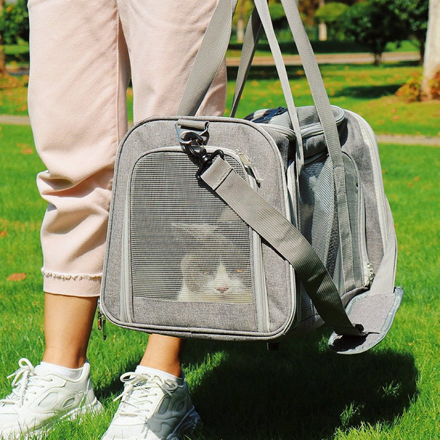 Dog carrier bag video review preview