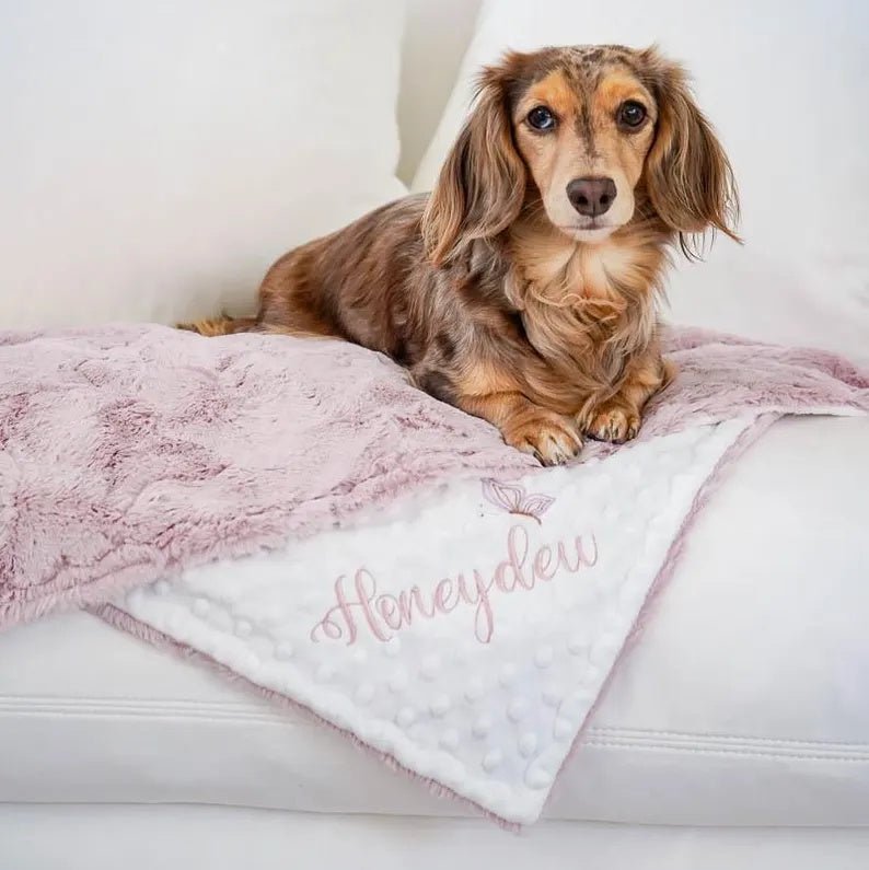 Personalized Dog Blanket video review preview