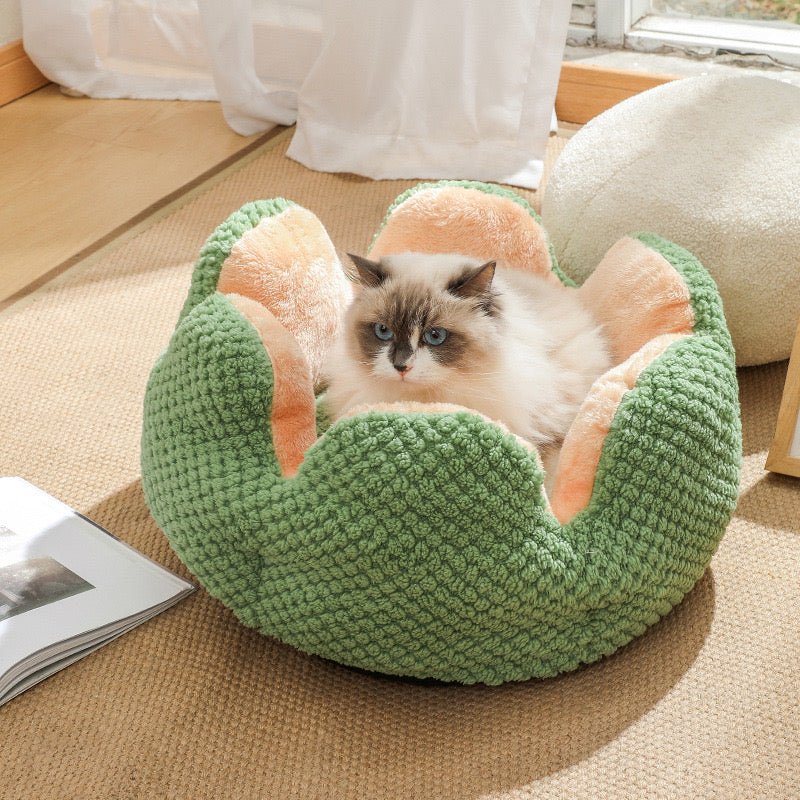 The fluffy cactus bed for pet video review preview