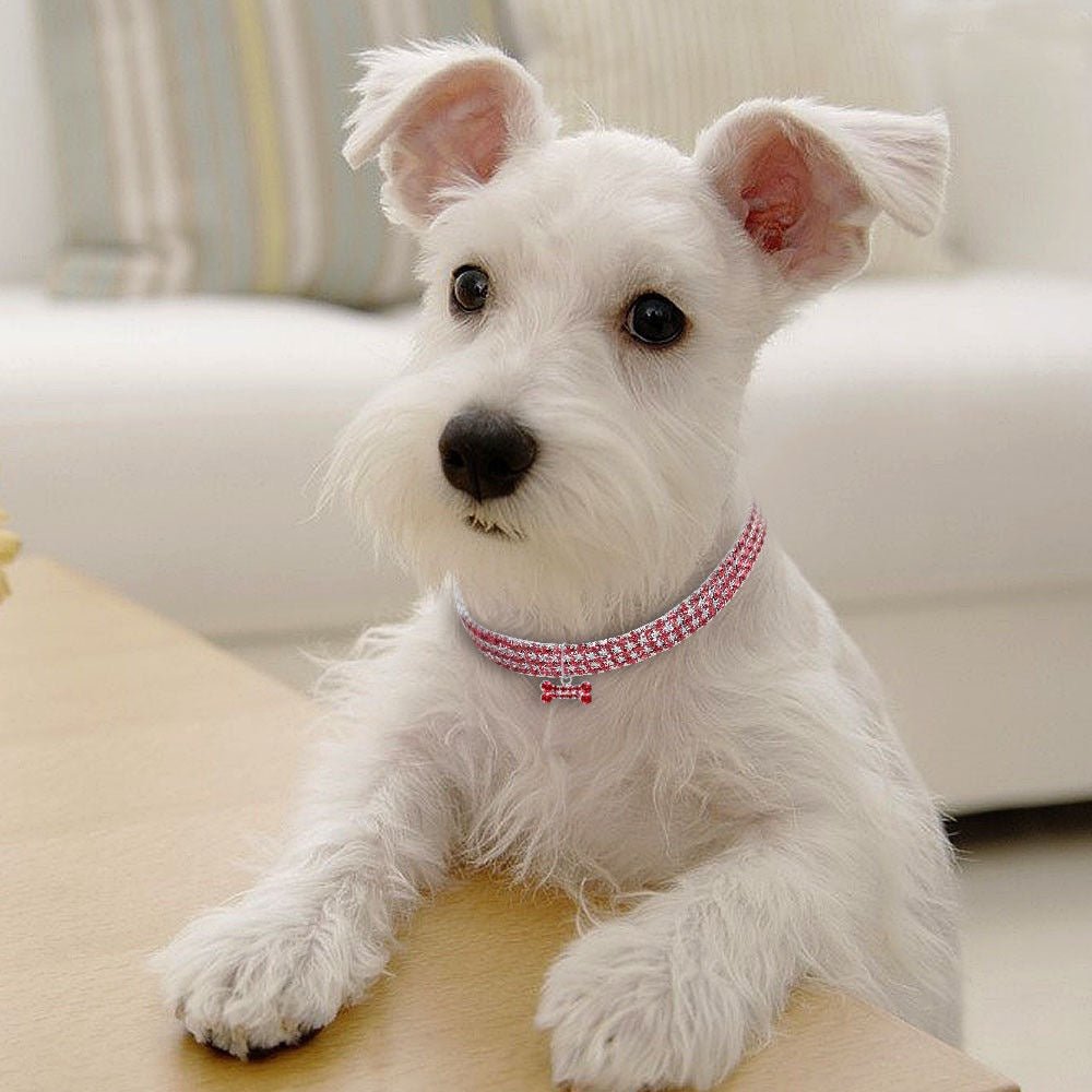 Pet collar with bling rhinestones