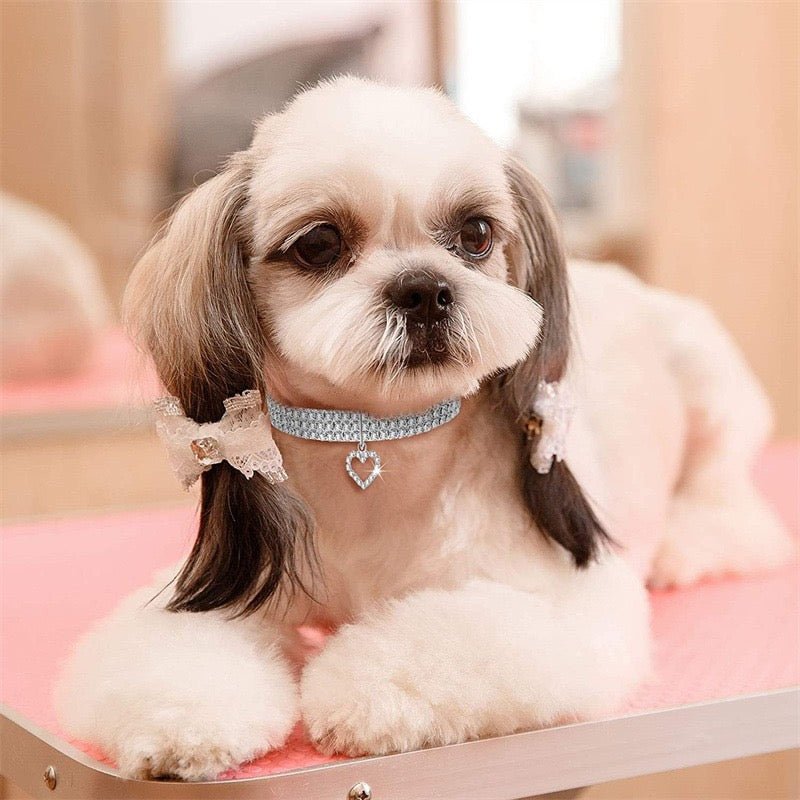 Pet collar with bling rhinestones