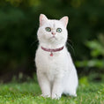 Load image into Gallery viewer, Pet collar with bling rhinestones
