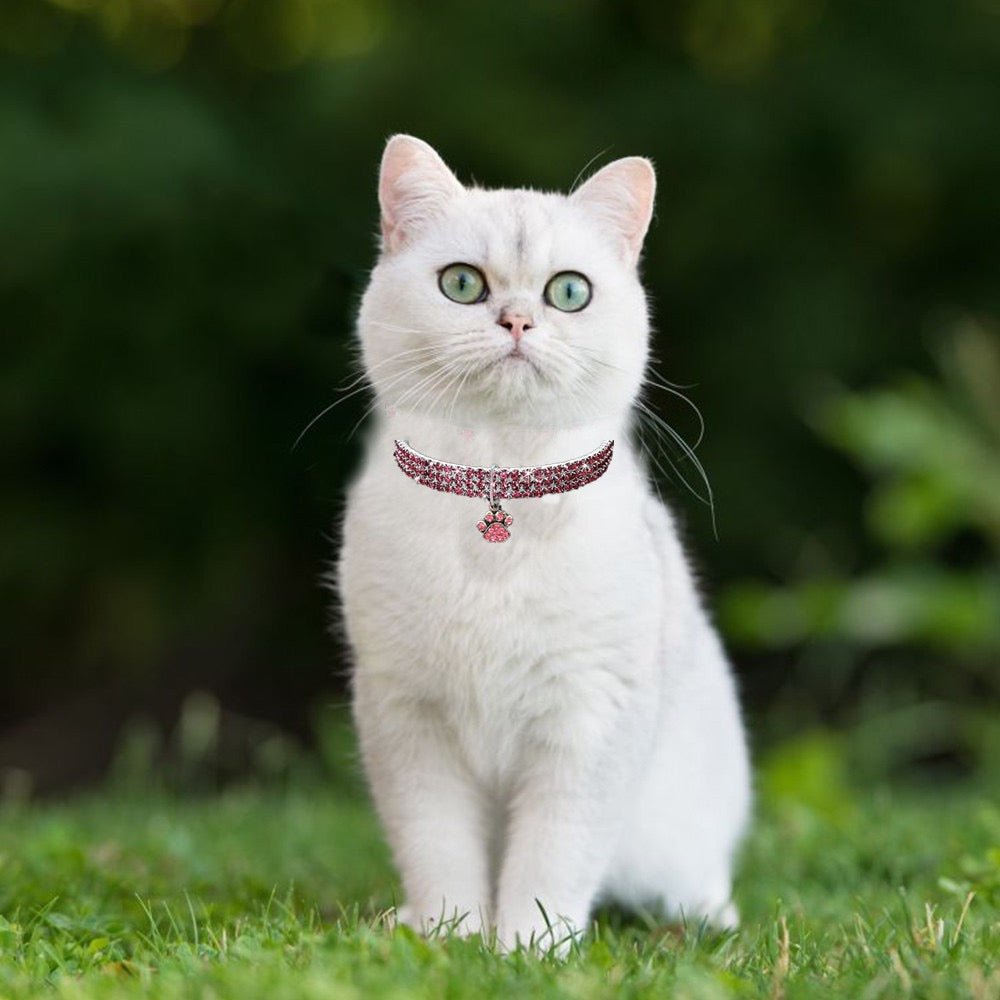 Pet collar with bling rhinestones