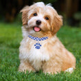 Load image into Gallery viewer, Pet collar with bling rhinestones
