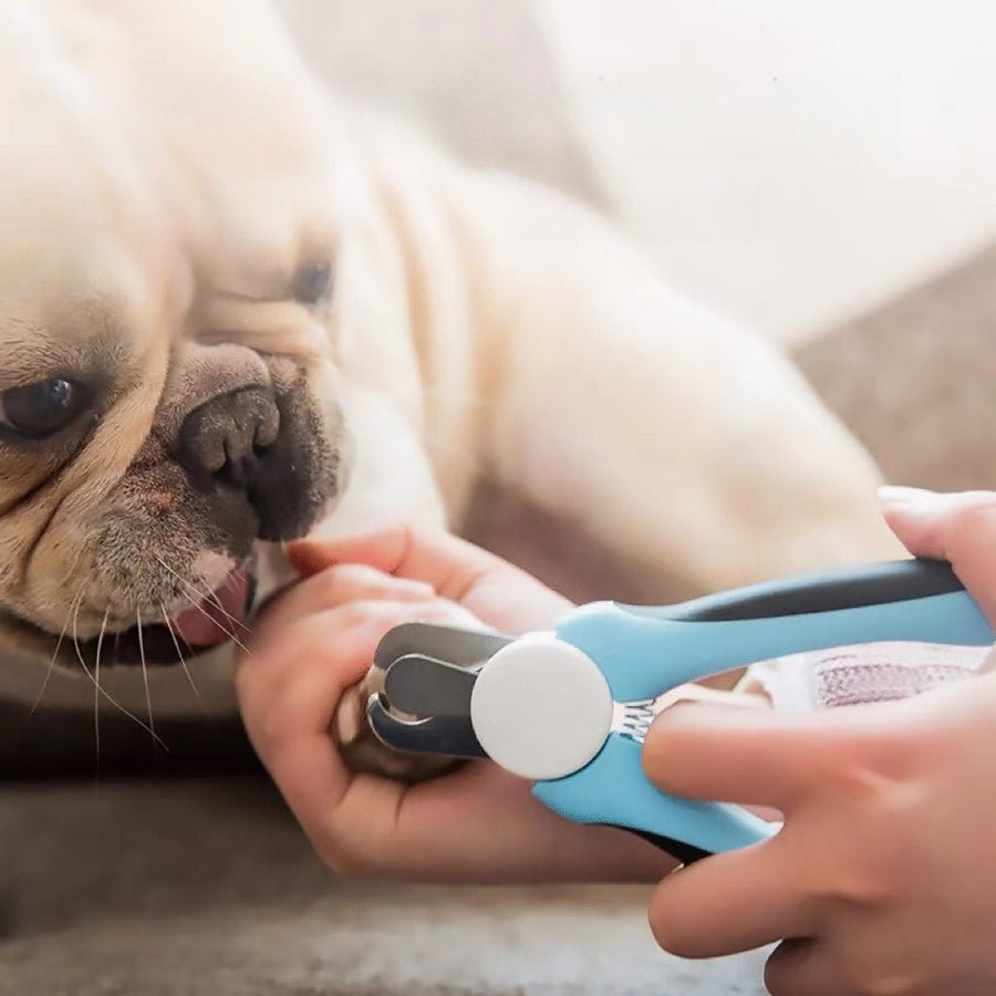 Pets Nail Clippers video review preview