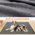 Load image into Gallery viewer, Washable dog pee pad
