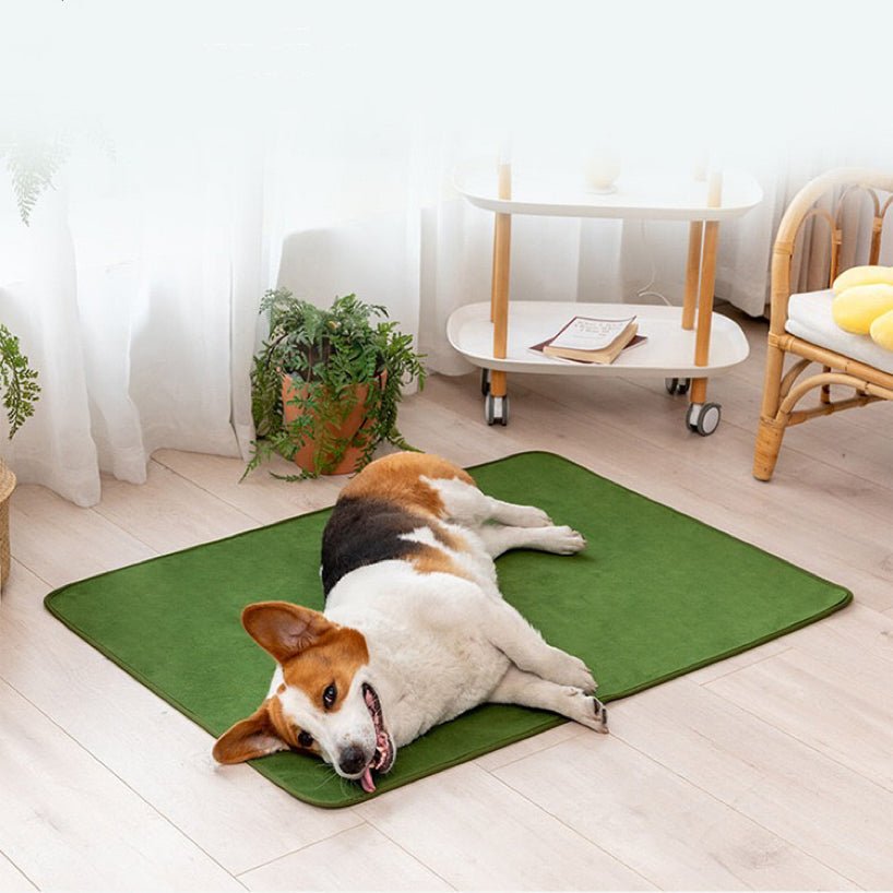 Washable dog pee pad video review preview
