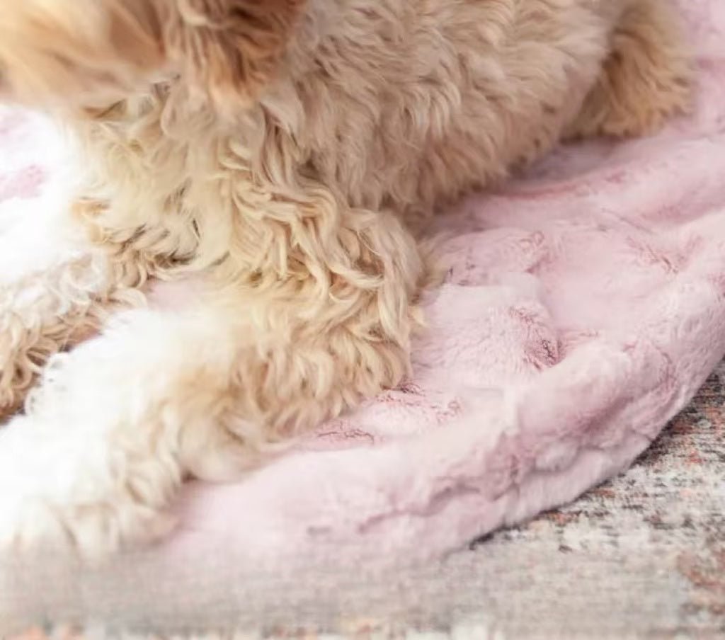 Personalized Dog Blanket
