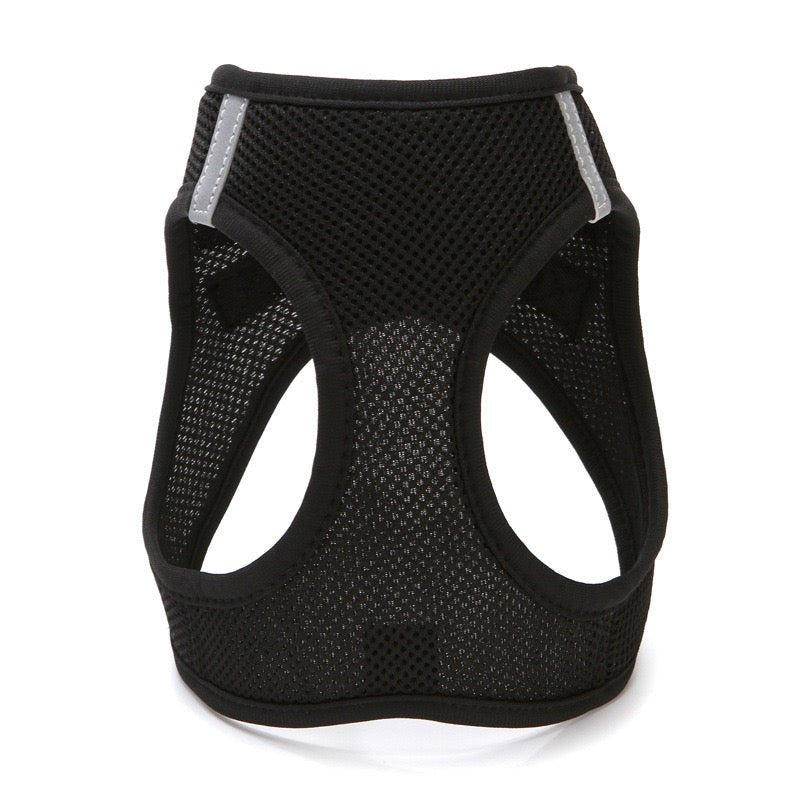 All Weather No Pull Harness for Pets