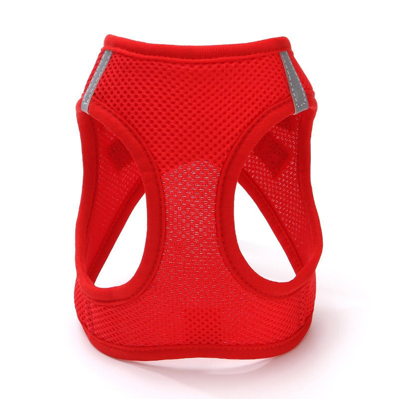 All Weather No Pull Harness for Pets