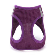 All Weather No Pull Harness for Pets