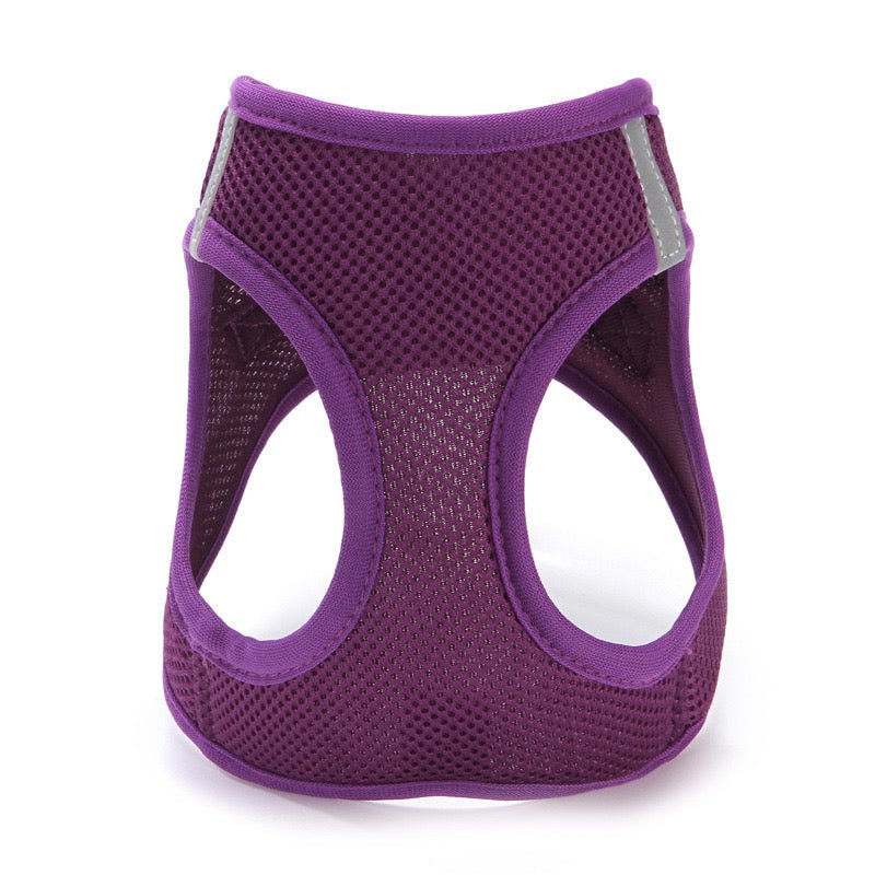 All Weather No Pull Harness for Pets