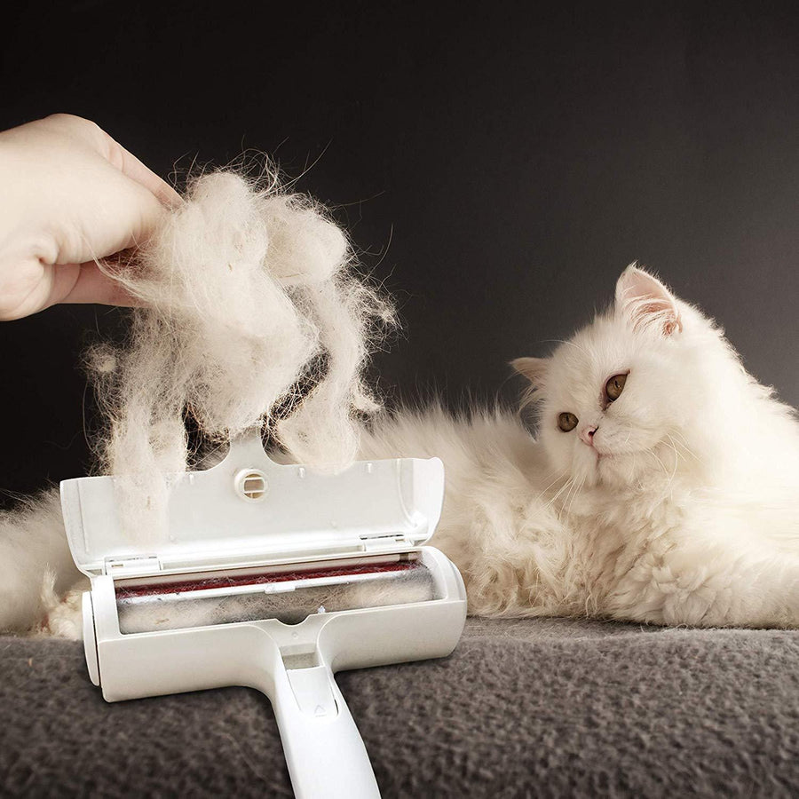Roller Pet Hair Remover video review preview
