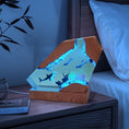 Load image into Gallery viewer, Sea Resin Ocean Lamp,Unique Epoxy Night Light for bedroom,Summer gift for her,Christmas gift
