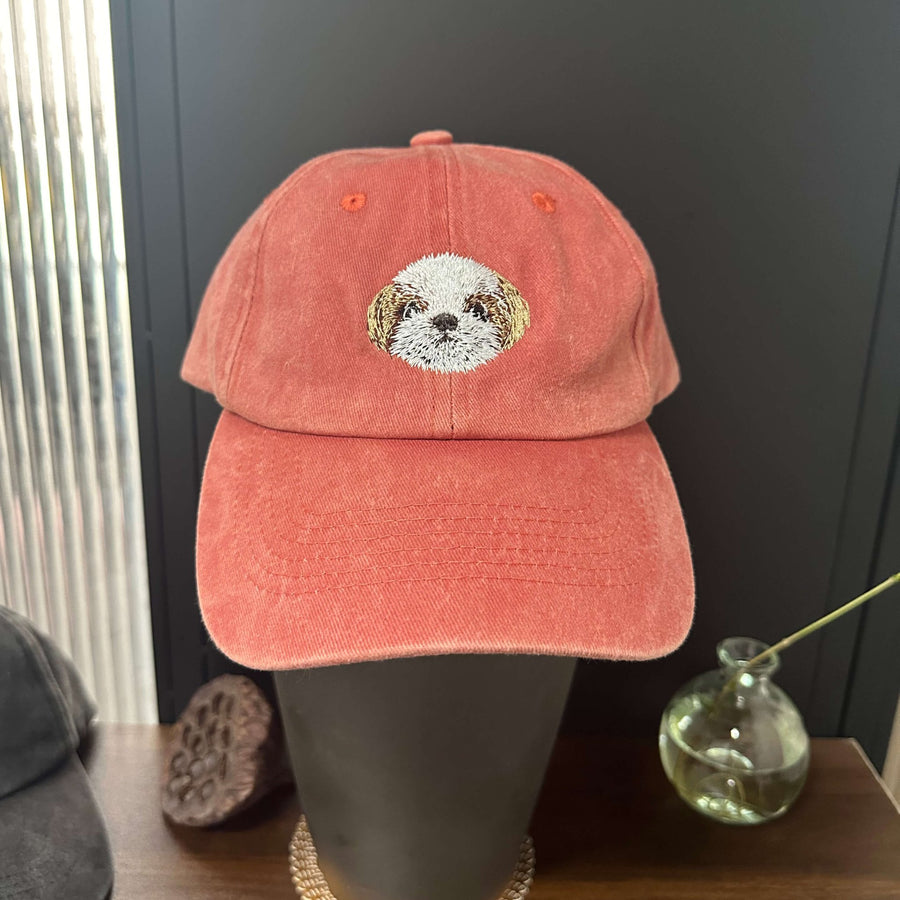 Embroidery pet baseball hat video review preview