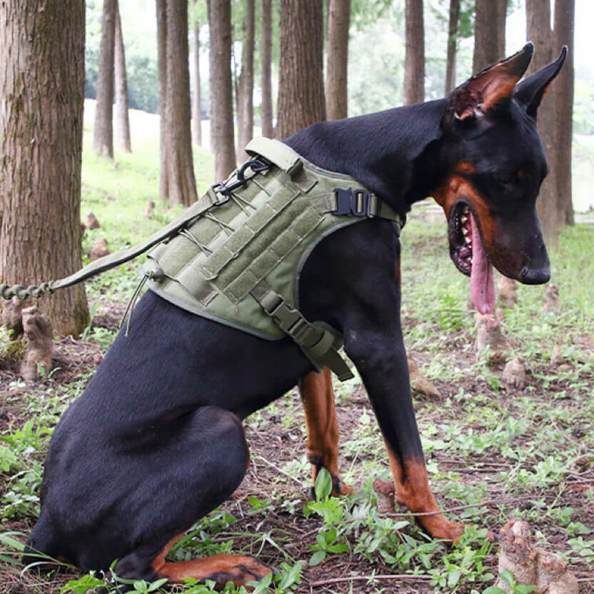 Tactical Anti Pull Dog Harness-Free custom ID PATCH