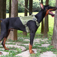 Load image into Gallery viewer, Tactical Anti Pull Dog Harness-Free custom ID PATCH
