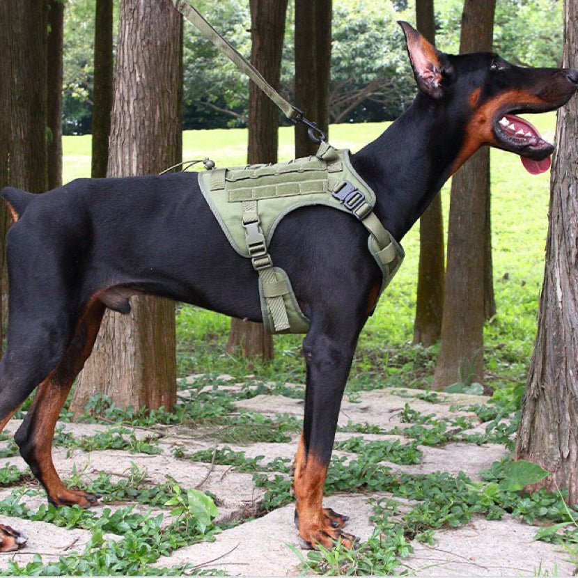 Tactical Anti Pull Dog Harness-Free custom ID PATCH