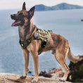 Load image into Gallery viewer, Tactical Anti Pull Dog Harness-Free custom ID PATCH
