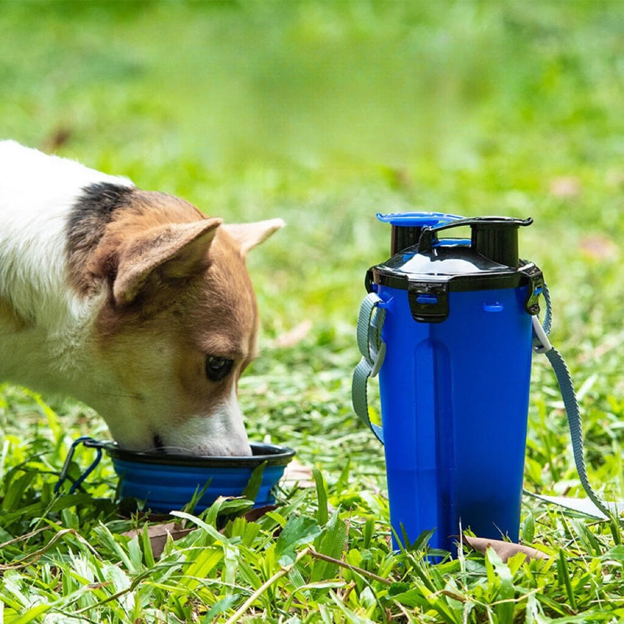 Dog Travel Water Food Bottle Collapsible Bowls video review preview