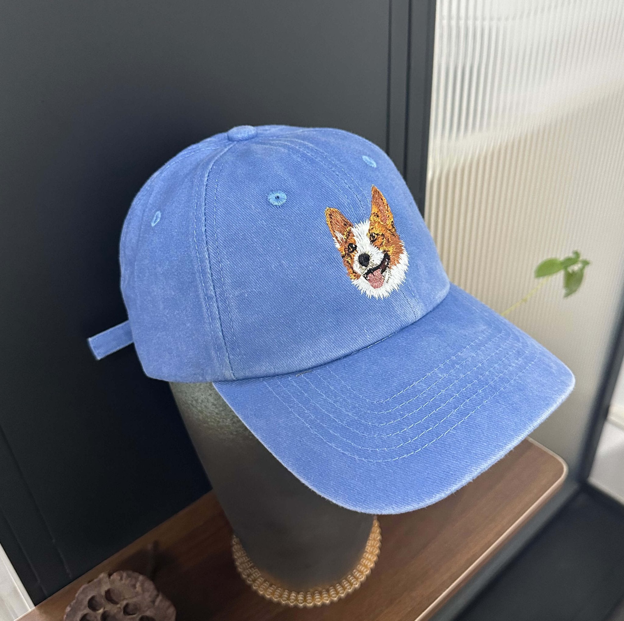 Embroidery pet baseball hat