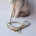 Load image into Gallery viewer, Hand woven pet leash and harness
