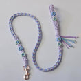 Load image into Gallery viewer, Hand woven pet leash and harness
