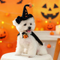 Load image into Gallery viewer, Crochet Halloween Pet Hat: Pumpkin, Witch, or Bat - Handmade Costume Cat Dog Hat
