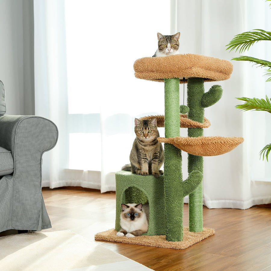 The scratching cactus for pet video review preview
