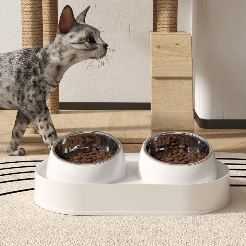 Cat Bowls for Food and Water video review preview