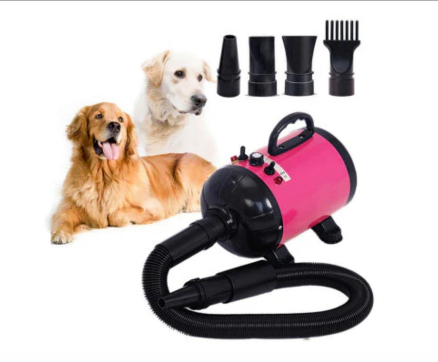 2800W Dog Dryer High Velocity Pet Dog Pet Blow Dryer Adjustable Speed 4 Nozzles video review preview