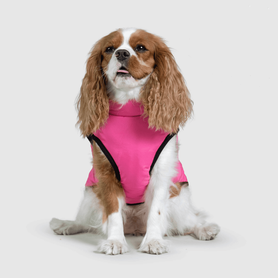 Dog Jacket video review preview