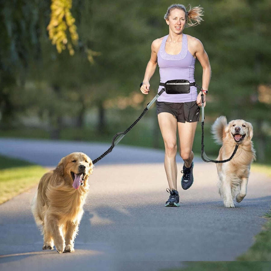 Double Dog Leash for Two Dogs video review preview