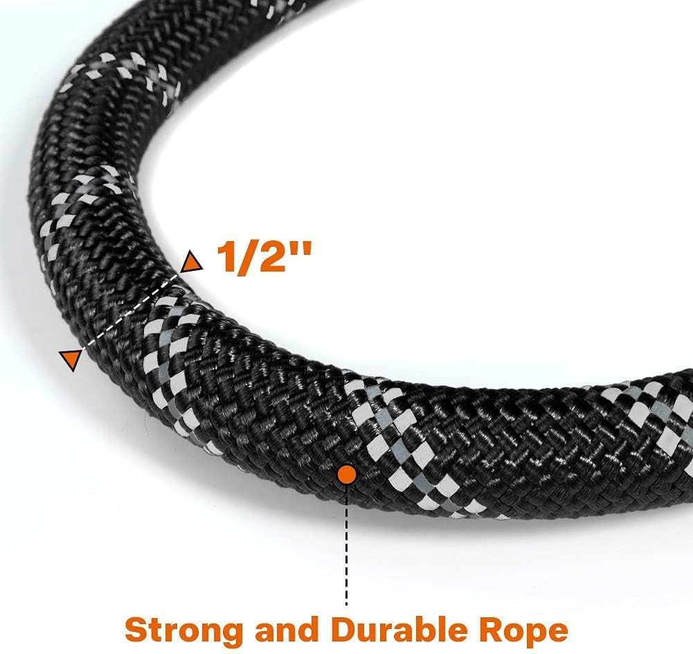 Dog Leash