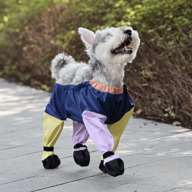 Dog Pants With Suspenders video review preview