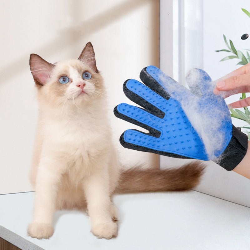 Pet grooming glove video review preview