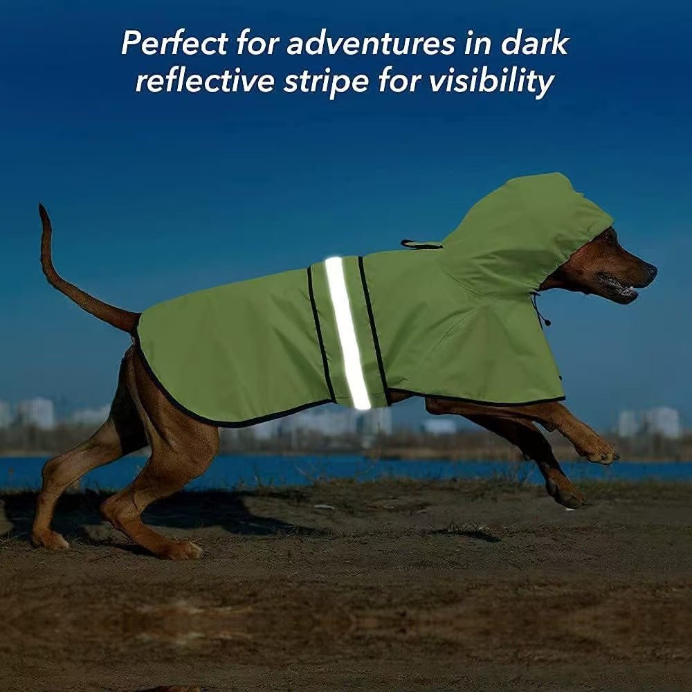 dog raincoat