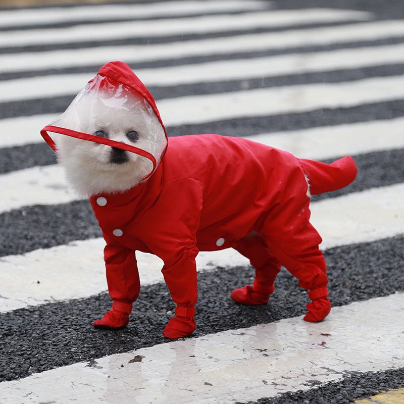 Waterproof Dog Raincoat with Hood for Small Dogs video review preview