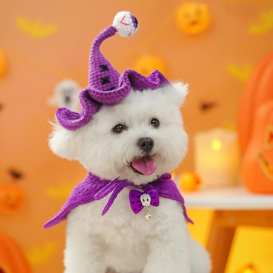 Crochet Halloween Pet Hat: Pumpkin, Witch, or Bat - Handmade Costume Cat Dog Hat