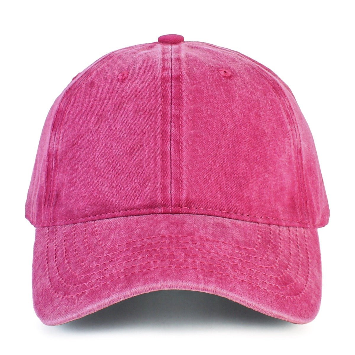 Embroidery pet baseball hat