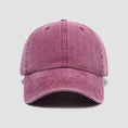 Load image into Gallery viewer, Embroidery pet baseball hat
