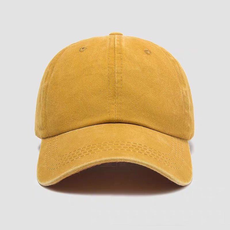 Embroidery pet baseball hat